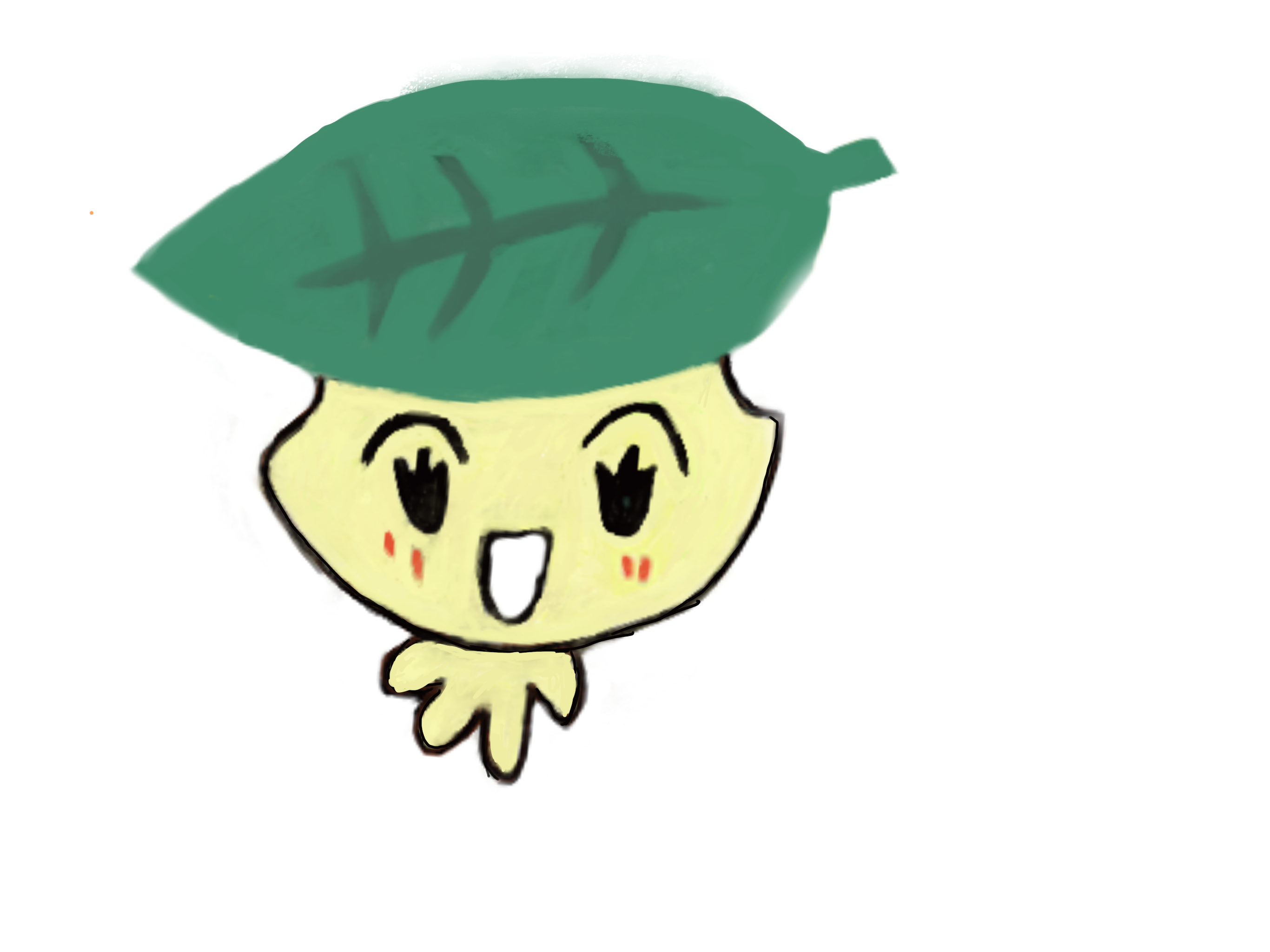 ページトップ